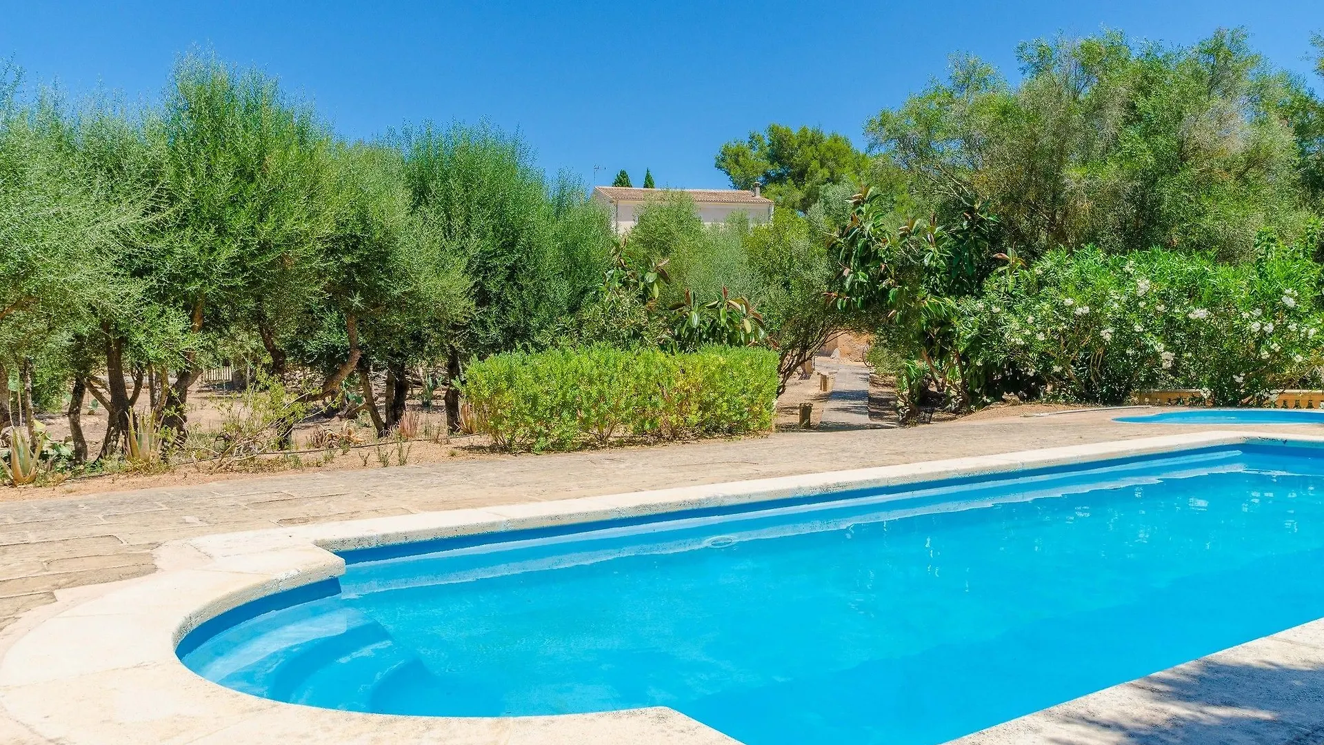 Apartamento Sureda Secadero Manacor  0*, Manacor (Mallorca) España